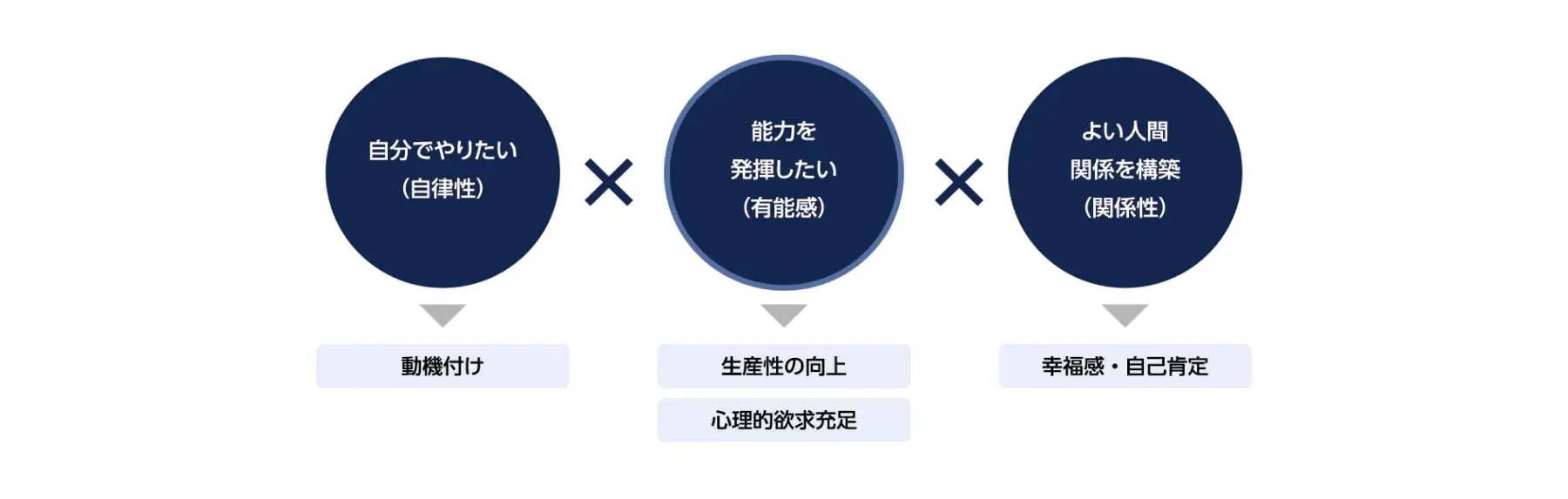 新人事制度の図解